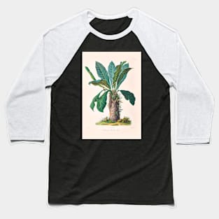 Anthurium Hookeri - Icones Aroidearum - Botanical Illustration Baseball T-Shirt